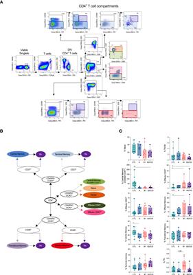 Signatures of CD4+ T and B cells are associated with distinct stages of chronic chagasic cardiomyopathy